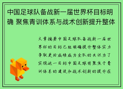 中国足球队备战新一届世界杯目标明确 聚焦青训体系与战术创新提升整体实力