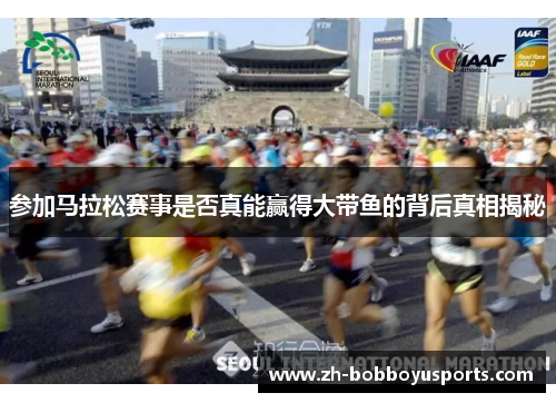 参加马拉松赛事是否真能赢得大带鱼的背后真相揭秘