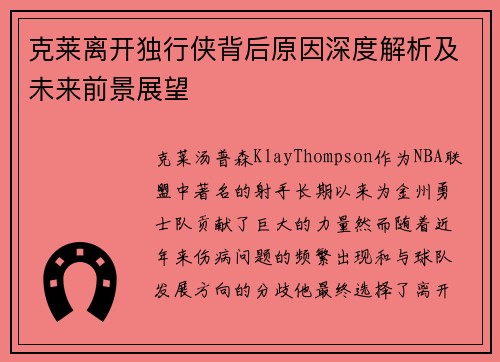 克莱离开独行侠背后原因深度解析及未来前景展望