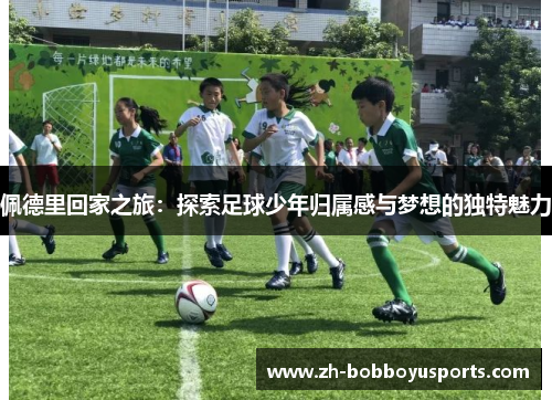 佩德里回家之旅：探索足球少年归属感与梦想的独特魅力